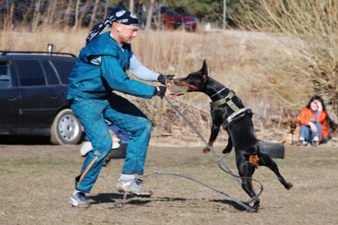 Training in Estonia 30.3 - 1.4. 2007